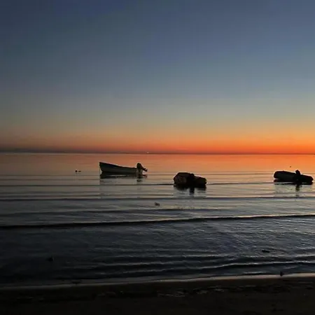 Shores
