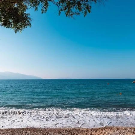 Shores